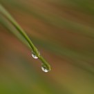 Teardrops of Nature